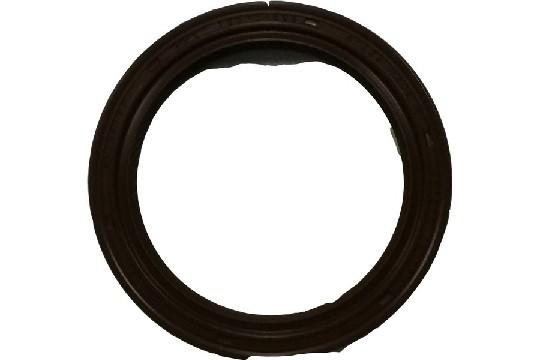 FIAT GROUP - JOINT - 55186757